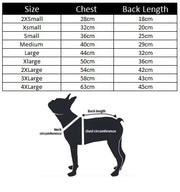 Pet Dog Cat Autumn & Winter Teddy Outfit – Warm Clothes for Small and Medium Dogs and Cats UK PET HOUSE