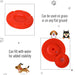 Portable Pet Agility Training Obstacle Set for Jumping Pole,Ring,Turnstile poles UK PET HOUSE