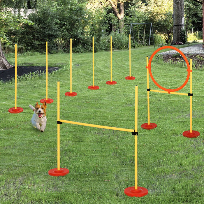 Portable Pet Agility Training Obstacle Set for Jumping Pole,Ring,Turnstile poles UK PET HOUSE