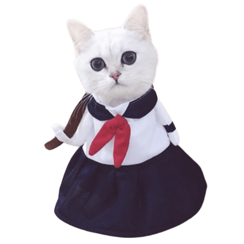 Profession Costumes 2 UK PET HOUSE