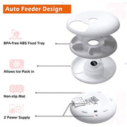 Six Meal Feeder for Pets UK PET HOUSE
