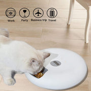 Six Meal Feeder for Pets UK PET HOUSE