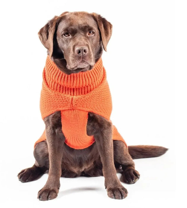 The Jamie Dog Jumper in Burnt Orange UK PET HOUSE