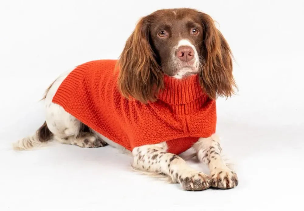 The Jamie Dog Jumper in Burnt Orange UK PET HOUSE