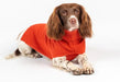 The Jamie Dog Jumper in Burnt Orange UK PET HOUSE