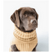 The Jazz Dog Jumper in Camel UK PET HOUSE