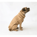 The Jazz Dog Jumper in Camel UK PET HOUSE