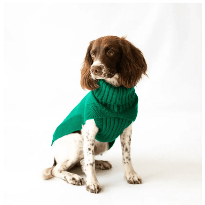 The Jazz Dog Jumper in Green UK PET HOUSE