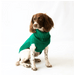 The Jazz Dog Jumper in Green UK PET HOUSE