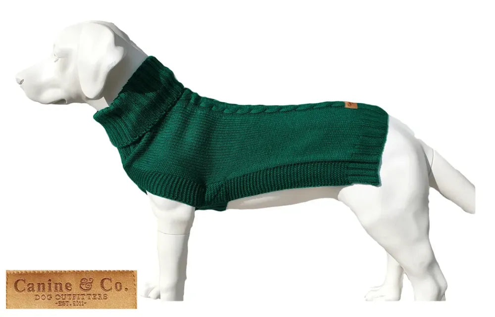 The Jazz Dog Jumper in Green UK PET HOUSE