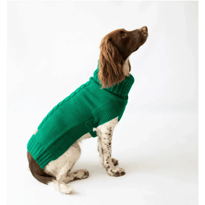 The Jazz Dog Jumper in Green UK PET HOUSE