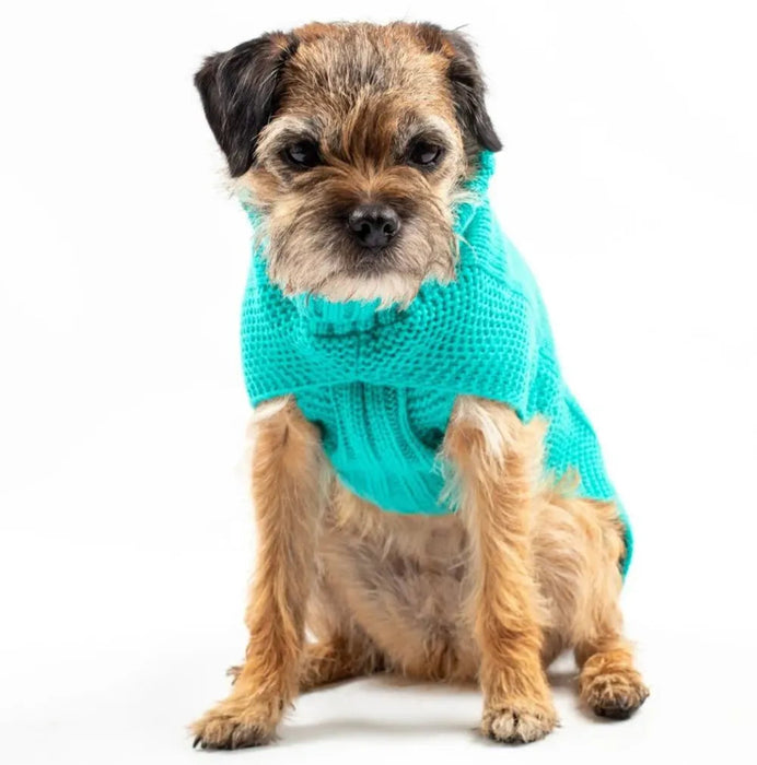 The Jazz Dog Jumper in Peacock Blue UK PET HOUSE