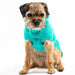 The Jazz Dog Jumper in Peacock Blue UK PET HOUSE