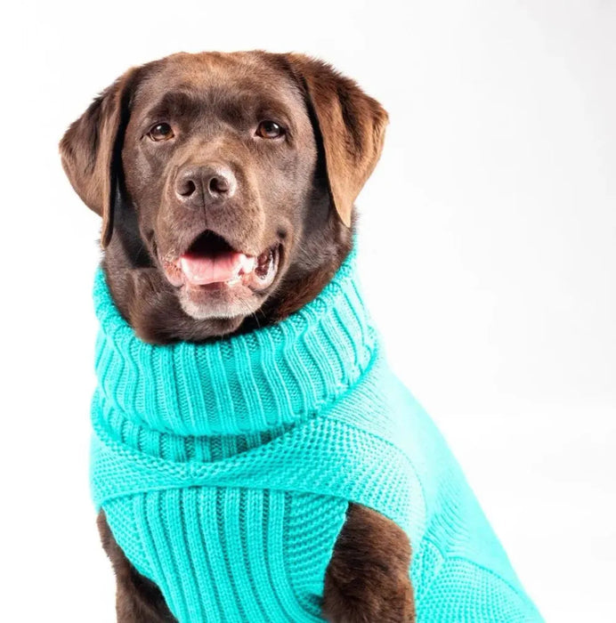 The Jazz Dog Jumper in Peacock Blue UK PET HOUSE