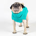 The Jazz Dog Jumper in Peacock Blue UK PET HOUSE