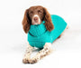 The Jazz Dog Jumper in Peacock Blue UK PET HOUSE