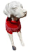 The Jazz Dog Jumper in Red UK PET HOUSE