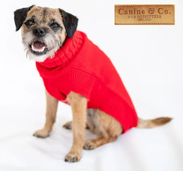 The Jazz Dog Jumper in Red UK PET HOUSE