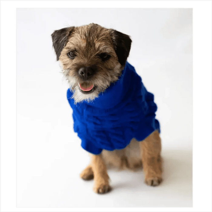 The Rascal Dog Jumper in Blue UK PET HOUSE