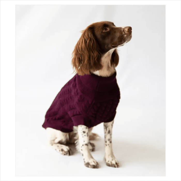 The Rascal Dog Jumper in Grape UK PET HOUSE