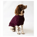 The Rascal Dog Jumper in Grape UK PET HOUSE