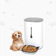 Timed Pet Automatic Feeder With Camera UK PET HOUSE