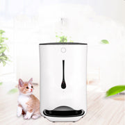 Timed Pet Automatic Feeder With Camera UK PET HOUSE