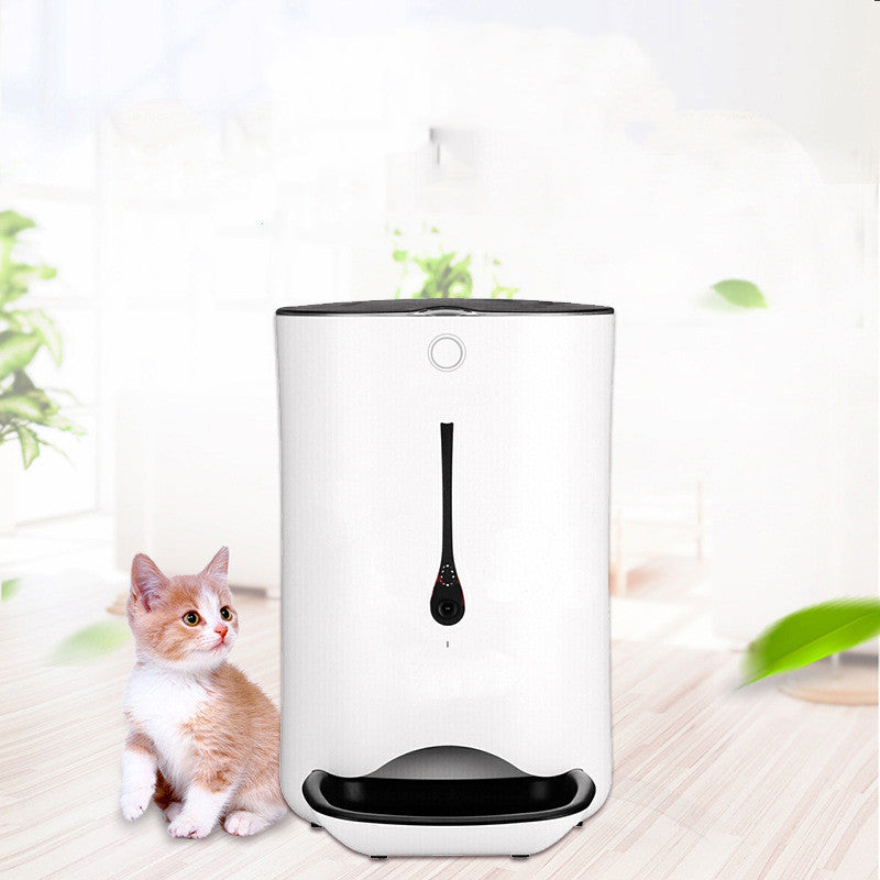 Timed Pet Automatic Feeder With Camera UK PET HOUSE