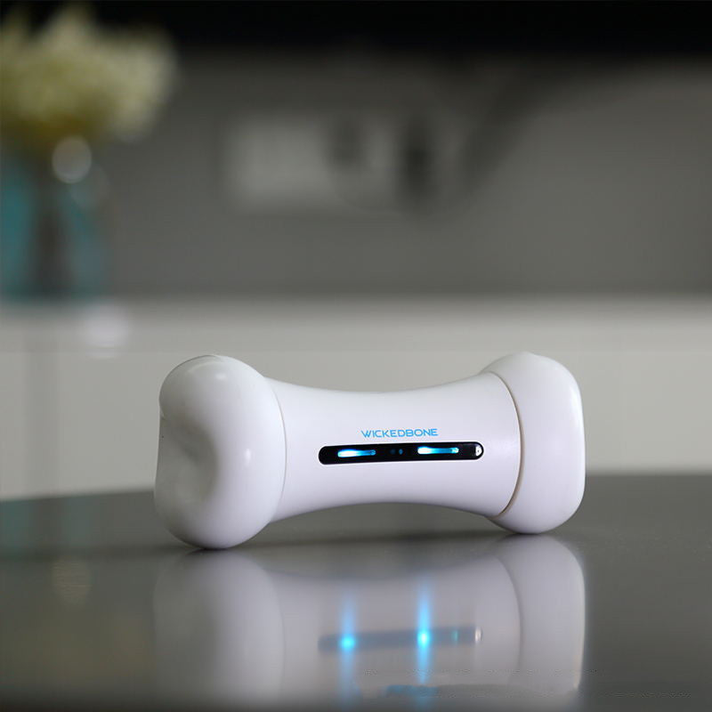 Cheerble Wickedbone (Smart App Pet Dog & Cat Interactive Toy) UK PET HOUSE