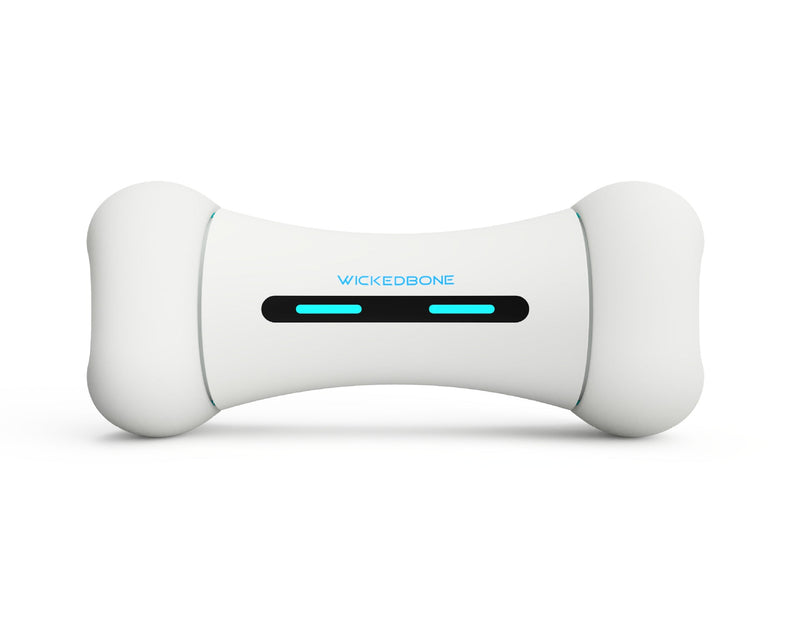 Cheerble Wickedbone (Smart App Pet Dog & Cat Interactive Toy) UK PET HOUSE