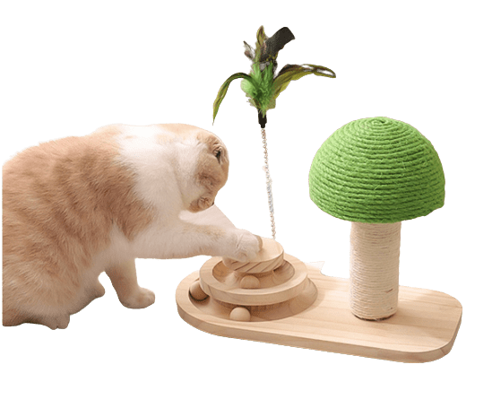 Wooden Cat Turntable Track Toy w/ Scratching Post UK PET HOUSE