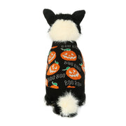 Halloween Pumpkin Sweater for Dogs & Cats – Festive Pet Outfit UK PET HOUSE