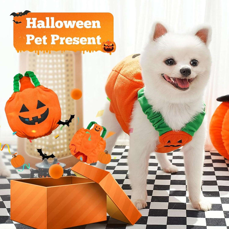 Pumpkin Pet Halloween Costume – Funny Plush Outfit for Cats & Small/Medium Dogs UK PET HOUSE