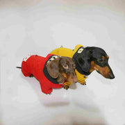 Warm Thick Winter Pet Clothes for Dogs & Cats – Outdoor Four-Legged Sweater UK PET HOUSE