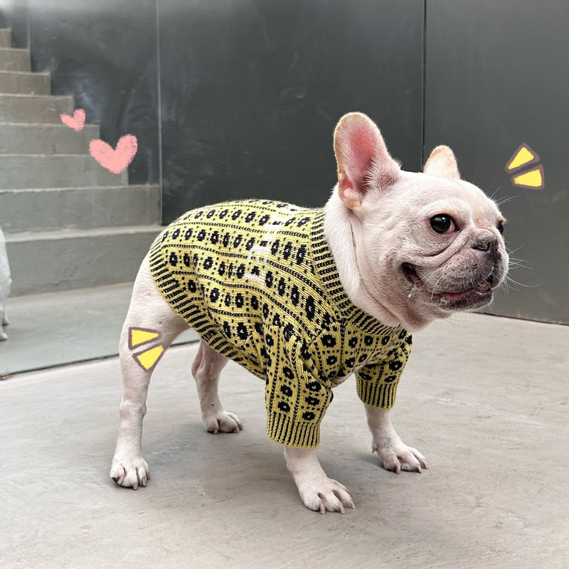 Warm Knitted Winter Sweater for Dogs & Cats – Cozy Cold Weather Pet Jumper UK PET HOUSE