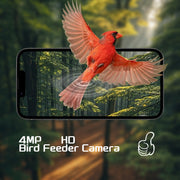 Smart Recognition Birdwatching Feeder With HD Camera & Solar Power – Intelligent Outdoor Bird Feeder UK PET HOUSE