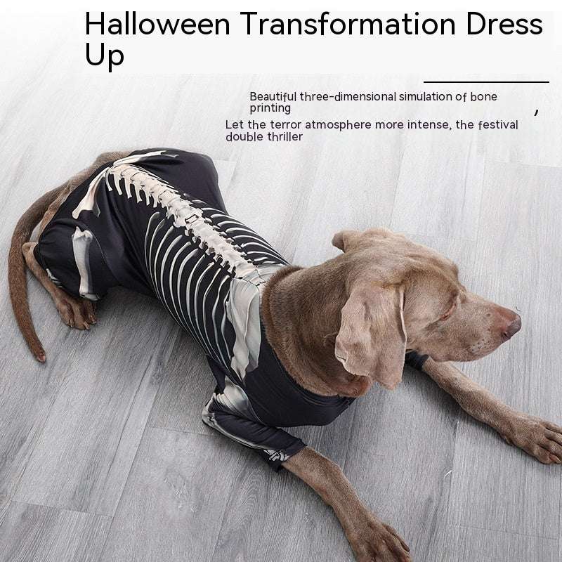 Halloween Skeleton Costume for Dogs – Spooky Pet Outfit UK PET HOUSE