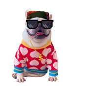 Pet Net Sweater – Autumn & Winter Outfit for Dogs and Cats (Teddy Size) UK PET HOUSE