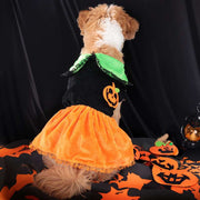 Pet Cat Dog Halloween Classic Pumpkin Skirt & Halloween Pumpkin Sweater Hoodie Unbranded