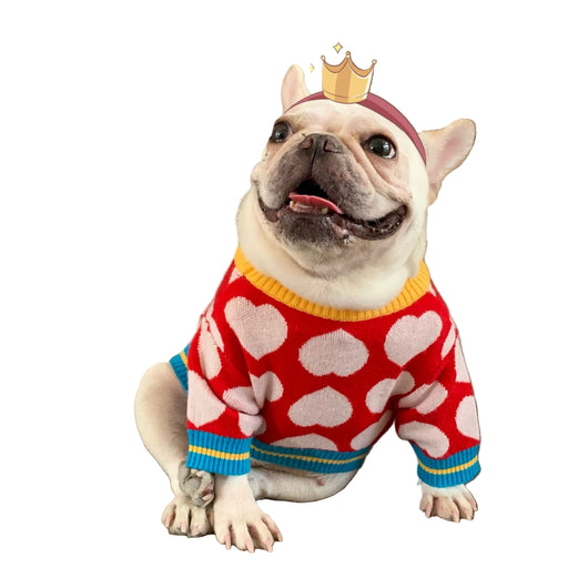 Pet Net Sweater – Autumn & Winter Outfit for Dogs and Cats (Teddy Size) UK PET HOUSE