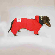 Warm Thick Winter Pet Clothes for Dogs & Cats – Outdoor Four-Legged Sweater UK PET HOUSE