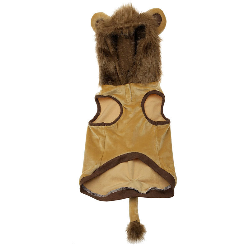 Cats - Accessories