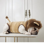 Pet Cat Dog Halloween Lion Costume Unbranded