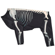 Halloween Skeleton Costume for Dogs – Spooky Pet Outfit UK PET HOUSE
