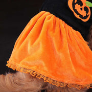 Pet Cat Dog Halloween Classic Pumpkin Skirt & Halloween Pumpkin Sweater Hoodie Unbranded