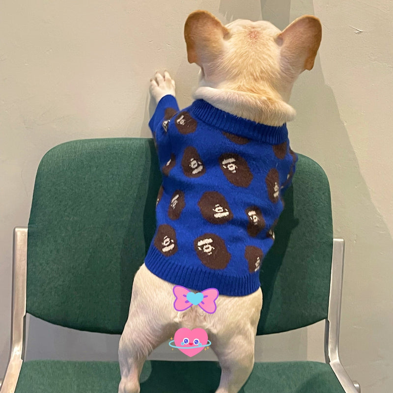 Trendy & Cozy Winter Pet Sweaters for Dogs and Cats UK PET HOUSE