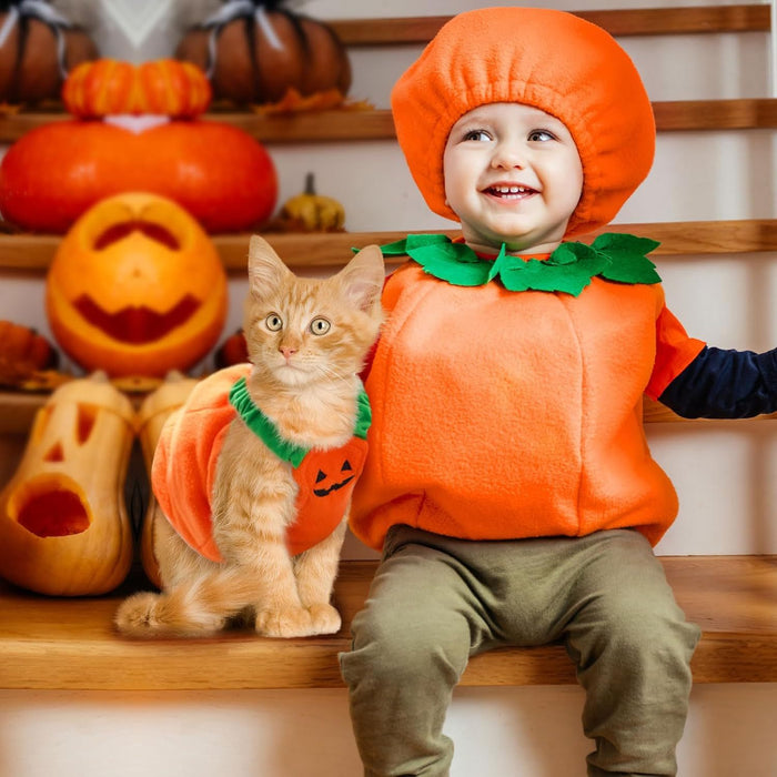Pumpkin Pet Halloween Costume – Funny Plush Outfit for Cats & Small/Medium Dogs UK PET HOUSE