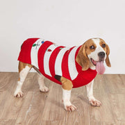Pet Cat Dog Striped Christmas Lantern Turtleneck Sweater Unbranded