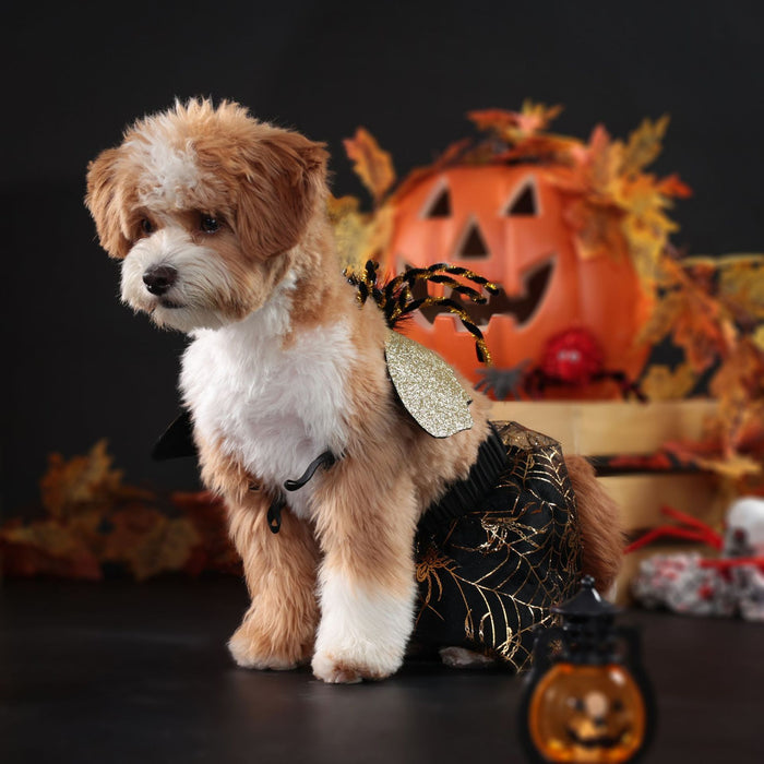 Halloween Spider Web Pet Costume – Dress Up Outfit for Cats & Small Dogs UK PET HOUSE