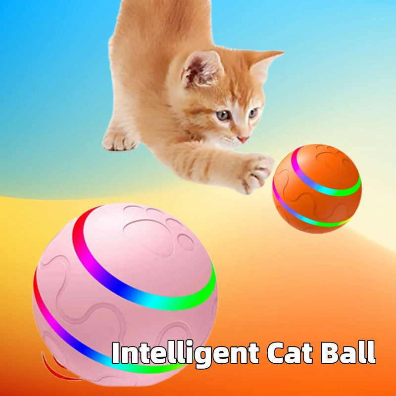 Wicked Intelligent Ball USB Pet Toys (Remote control) UK PET HOUSE